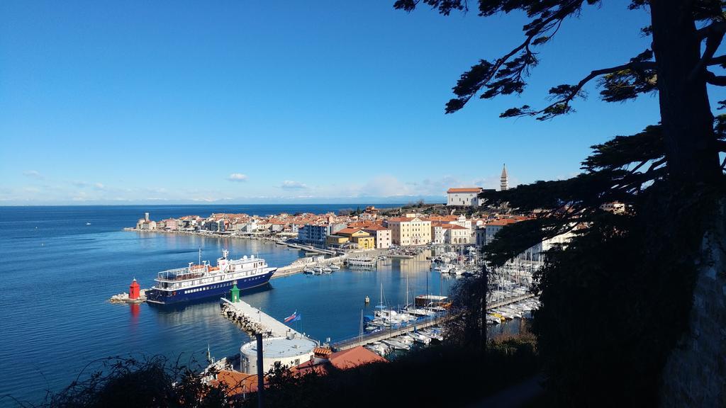 Apartments Vela Piran Eksteriør bilde